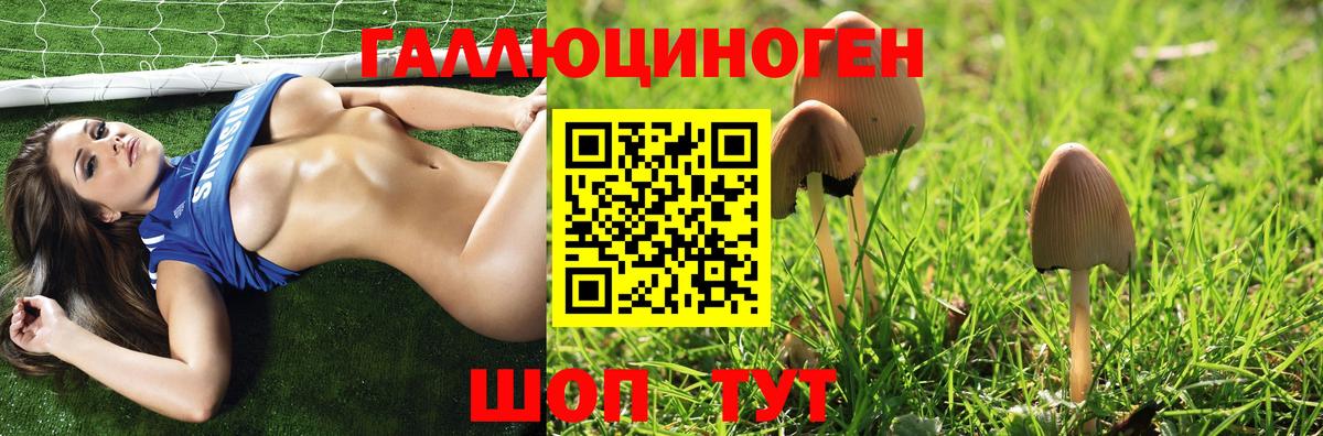 Тутаев  Псилоцибиновые грибы GOLDEN TEACHER  Вход с VPN 