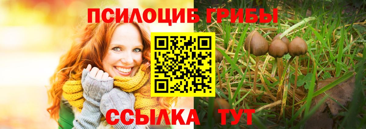 Псилоцибиновые грибы Magic Shrooms Тутаев